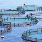 Aquafarming_Titelbild