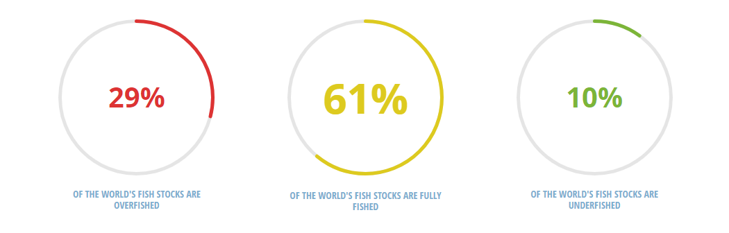 WWF_Überfischung